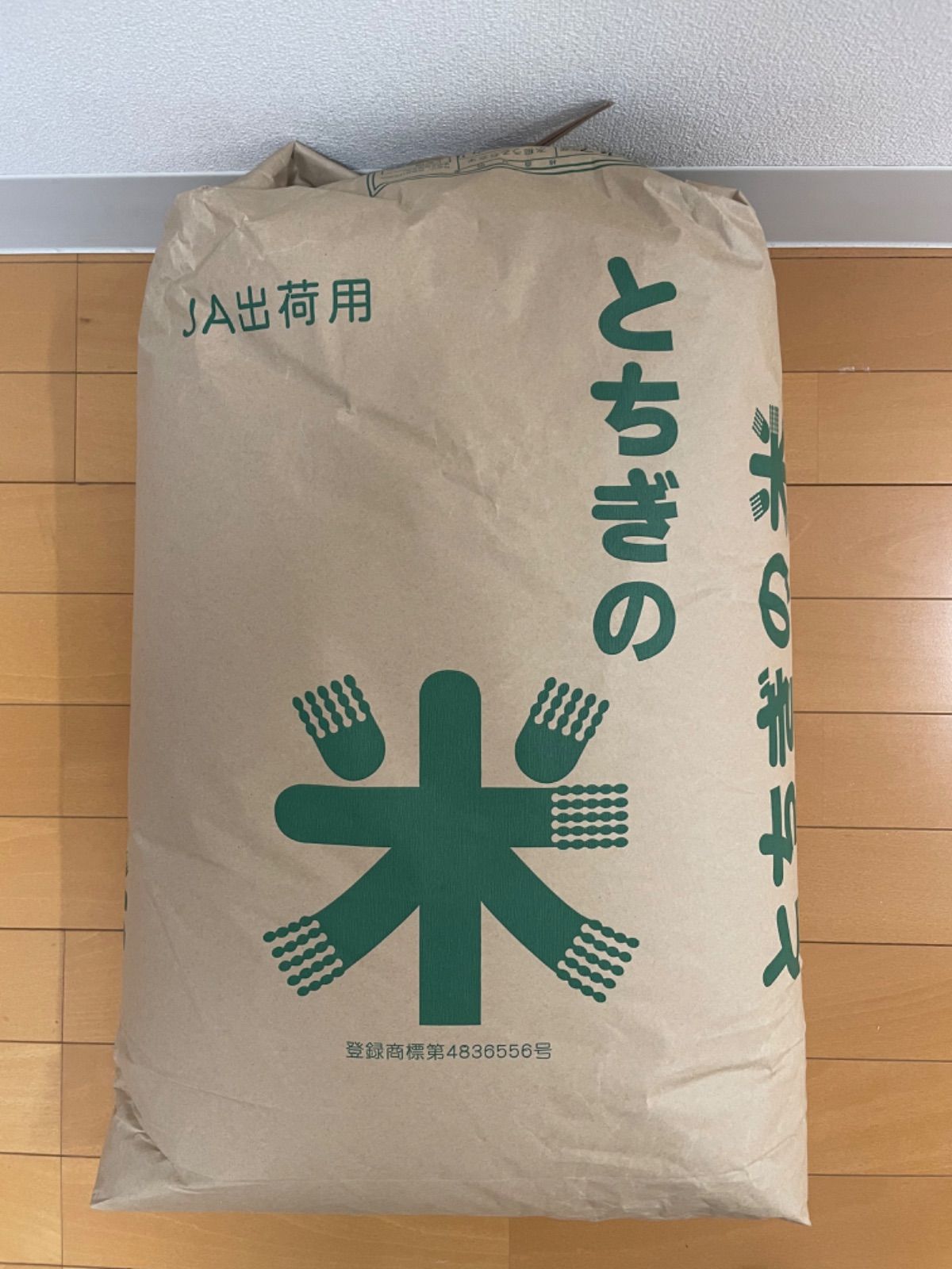 令和7年栃木県産コシヒカリ２５キロ 玄米