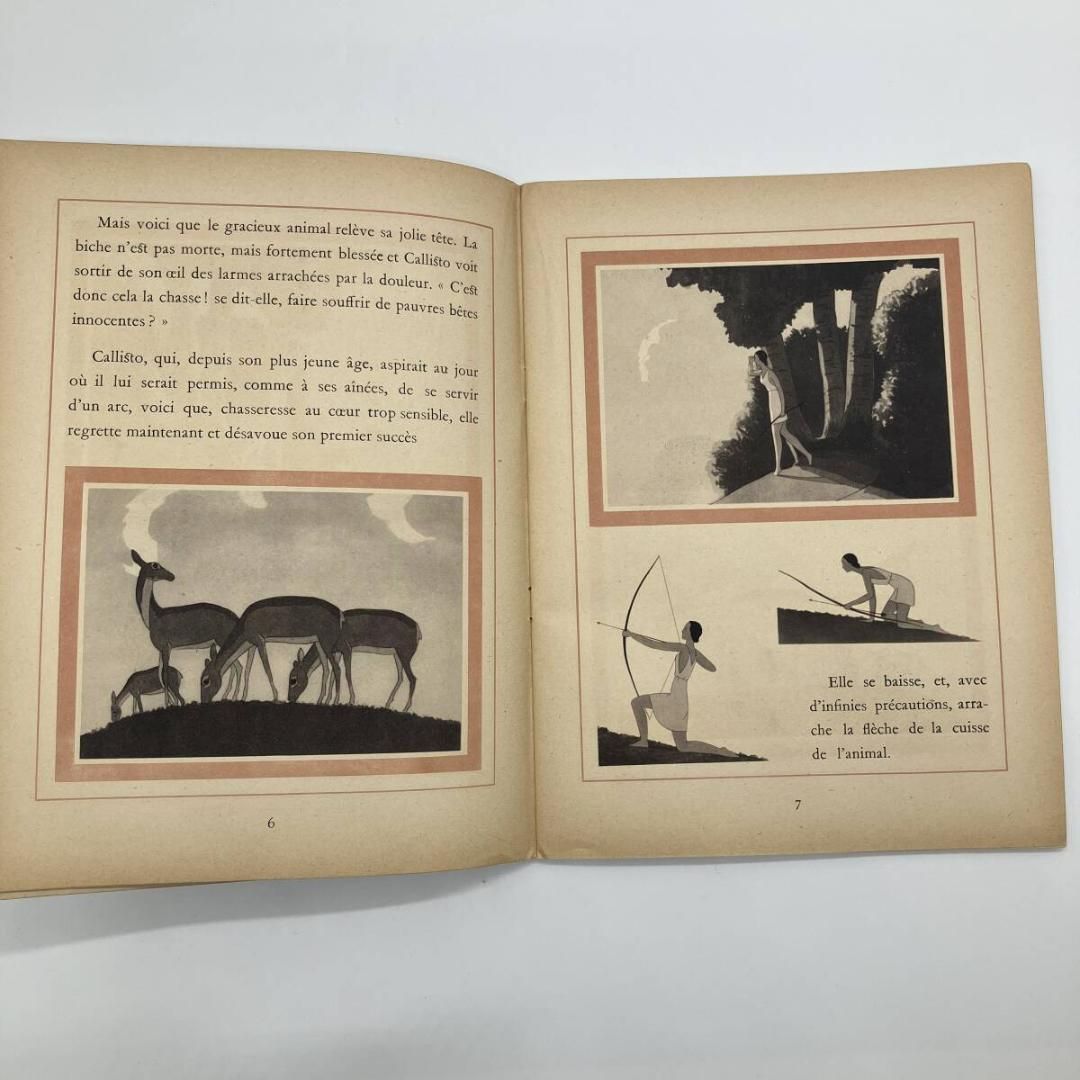 ニンフ セミハードカバー