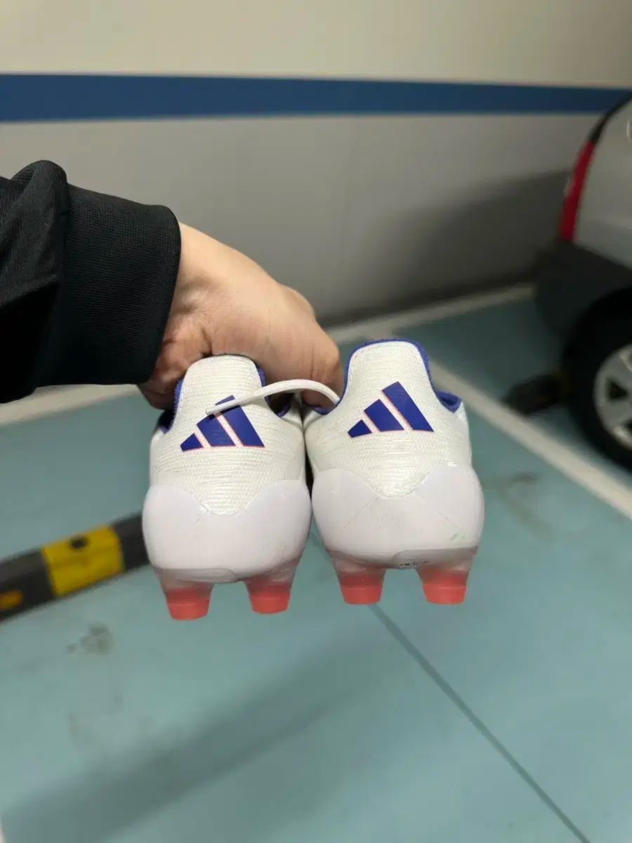 F50