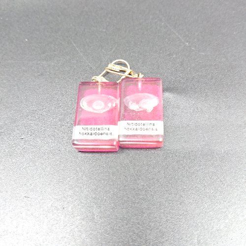 Ω ΘΦ THEATRE PRODUCTS シアタープロダクツ 貝殻デザイン Ω ΘΦ THEATRE PRODUCTS シアタープロダクツ 貝殻デザイン