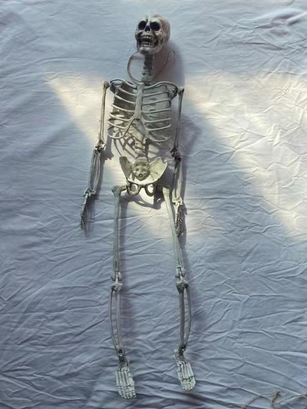 マイティマックス 恐怖のガイコツ戦士未開封 1220 バンダイ ブルー