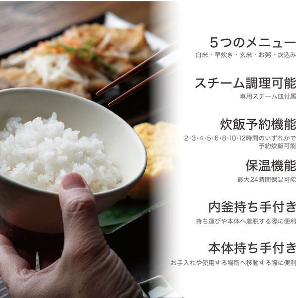 マイコン炊飯ジャーGOHANDAKI RM-231H