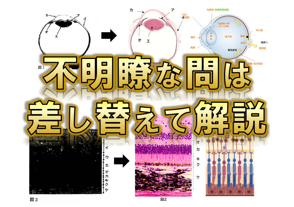 【旭川医科大学】2024年度 解答解説 医学部学士編入