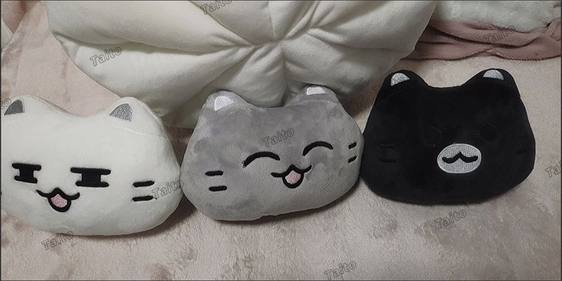 SEVENTEEN JUN ジュン ウェン・ジュンフイ セブンティーン SVT