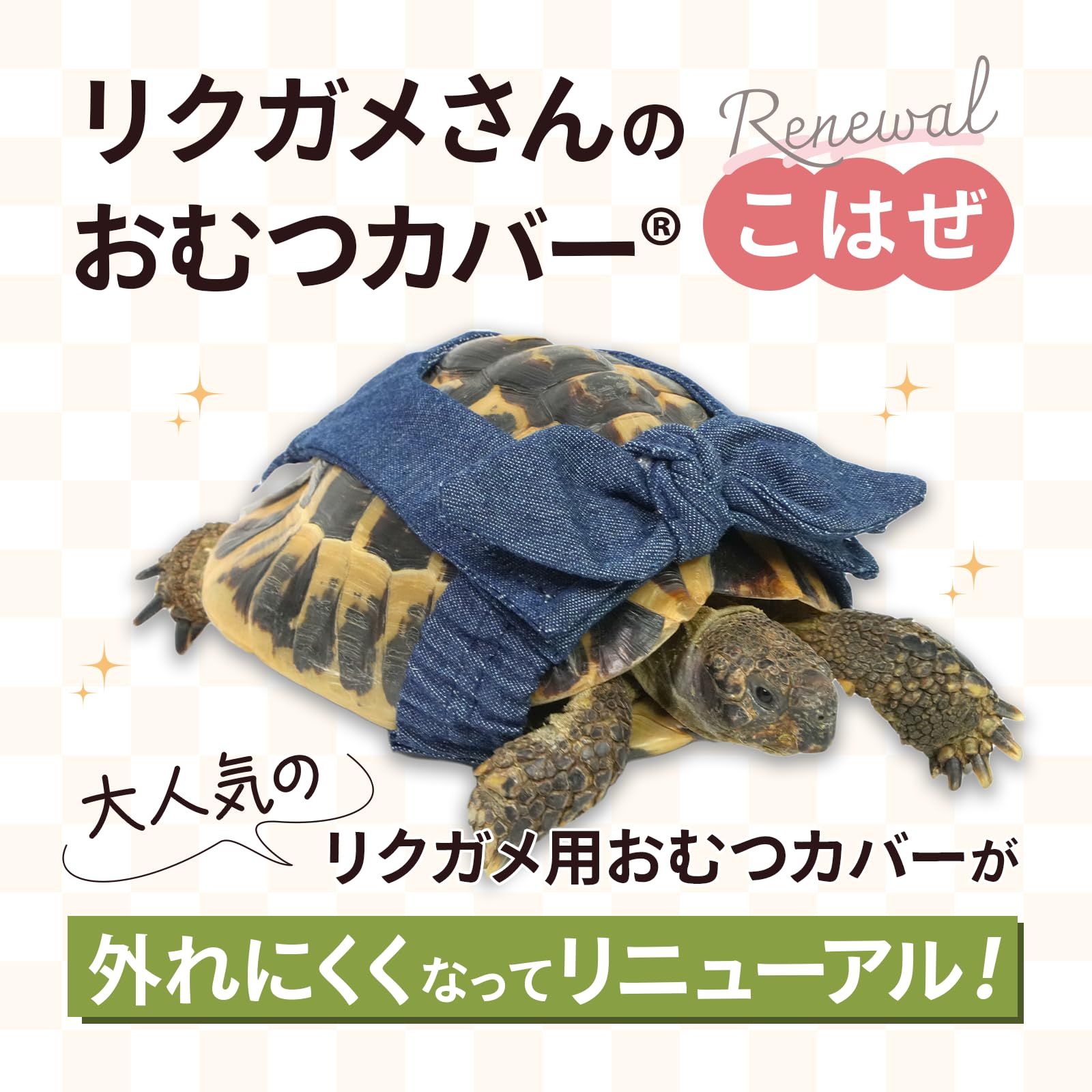 りくがめ リクガメ科 - Wikipedia