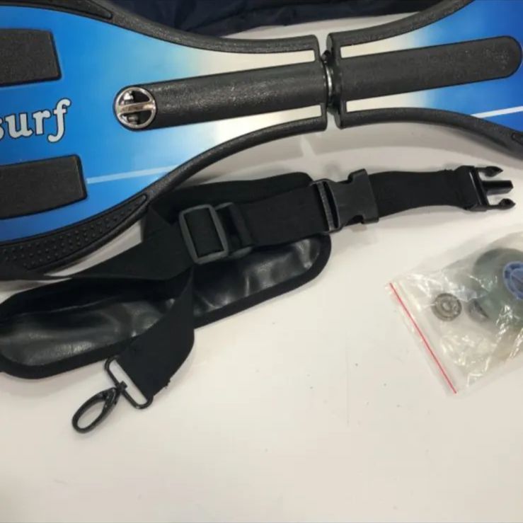 スケートボード Landsurf ランドサーフ 2輪 ブレイブボード ケース付き