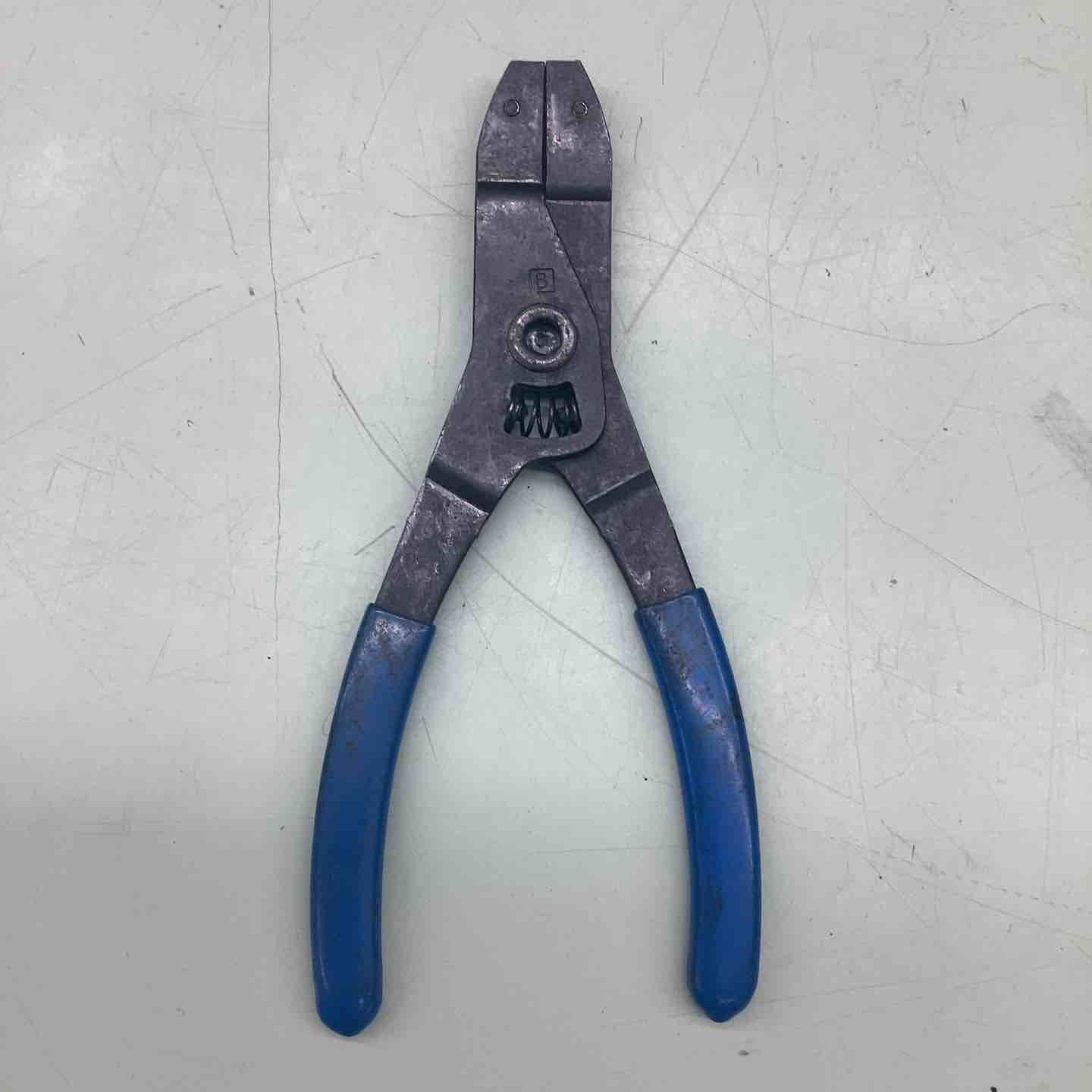 ブルーポイント