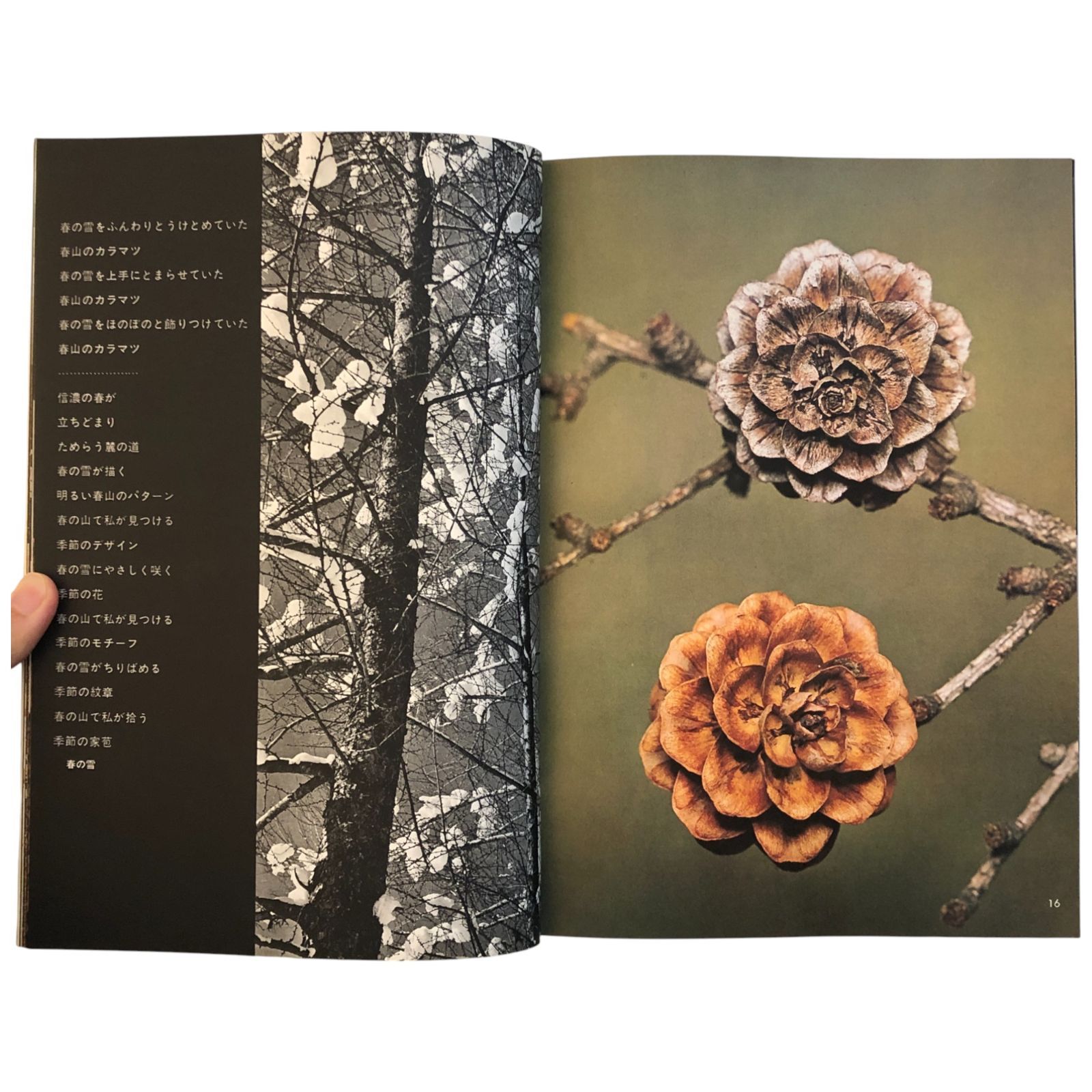 山の意匠　田淵行男写真集 山の意匠 田淵行男写真集 | 田淵行男 | nostos books ノストス