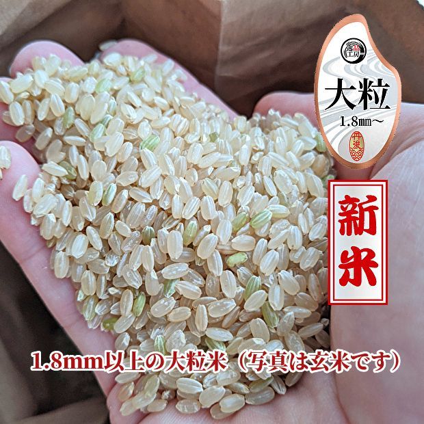 新米／最高品質】玄米／精米／安心安全／お米／コシヒカリ／安い／30 