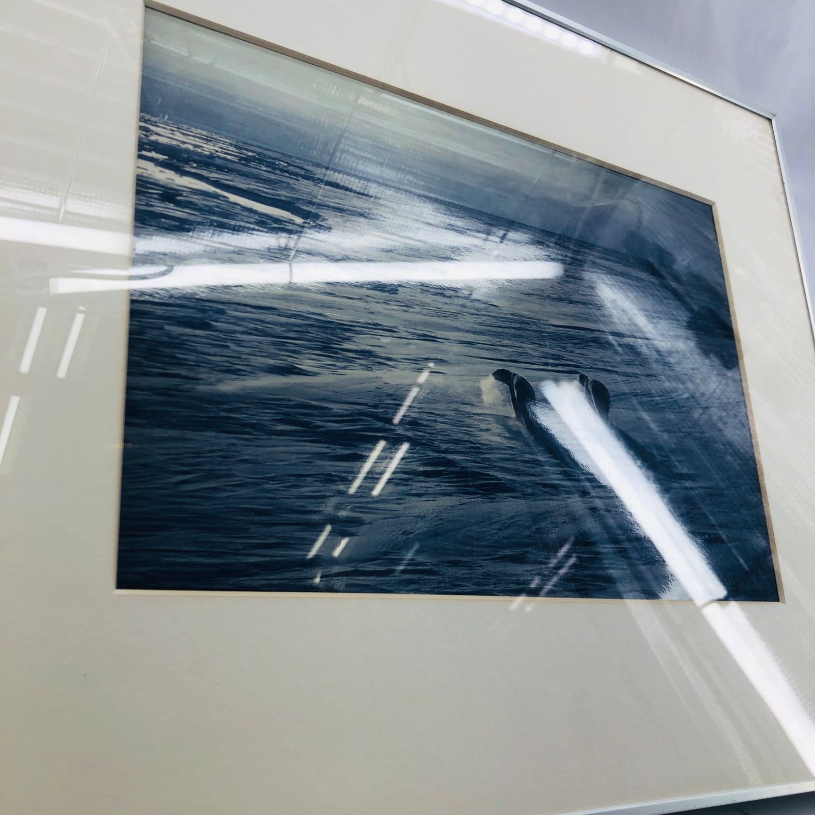 4*n様 星野道夫　オリジナルプリント　証明書付 星野道夫 オリジナルプリント 証明書付 - メルカリ