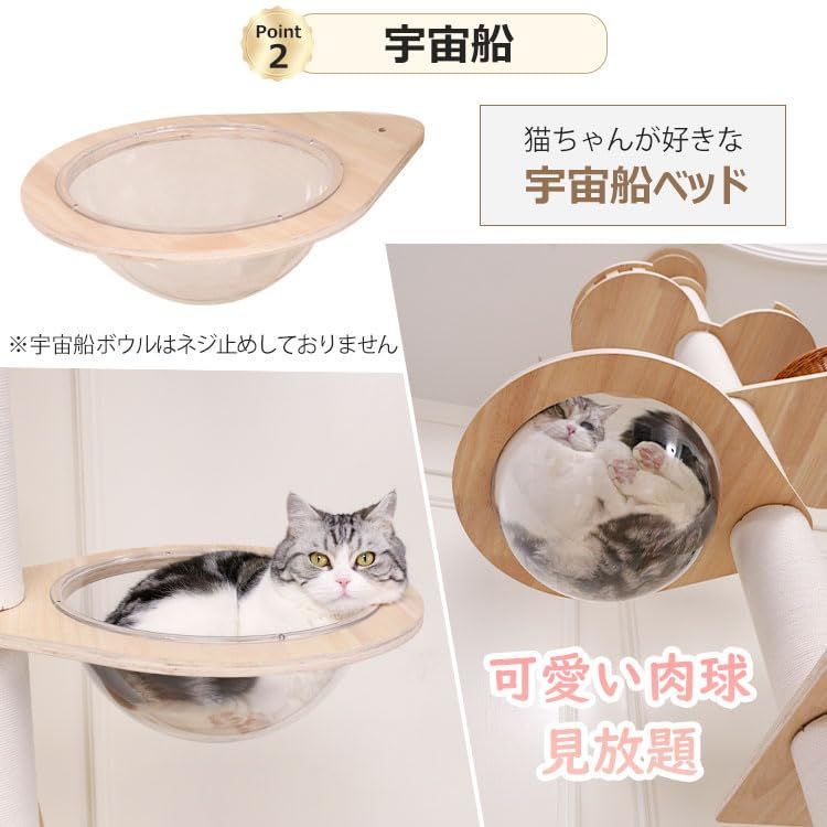 爪とぎ