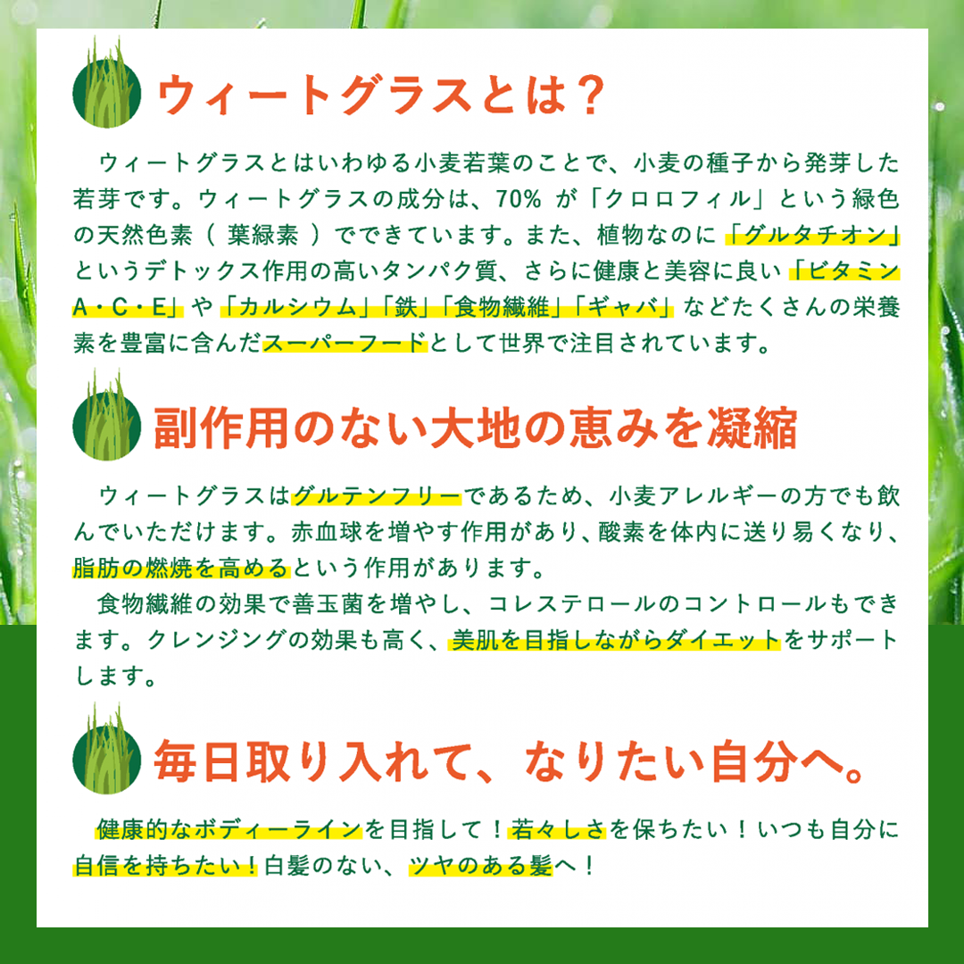 メルカリshops Shops ウィートグラス デトレッシュ パウダー