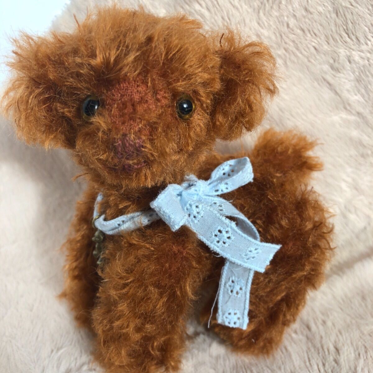 ストア トイプードル レッド