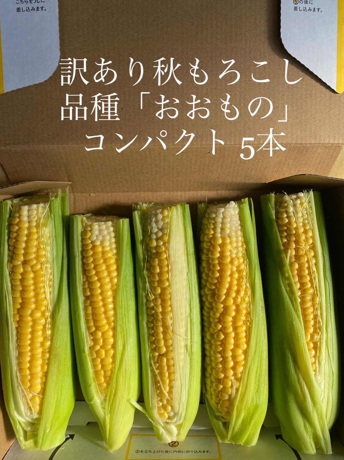 産直とうもろこし 品種「おおもの」訳あり品 5本 - メルカリ