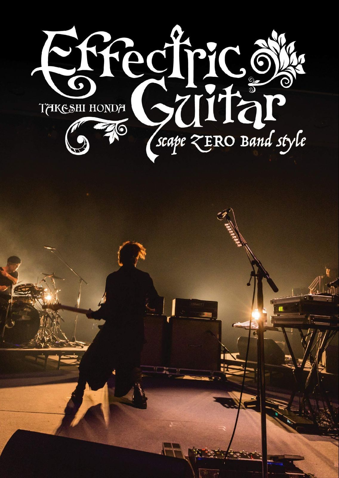 Effectric Guitar scape ZERO band style [DVD]