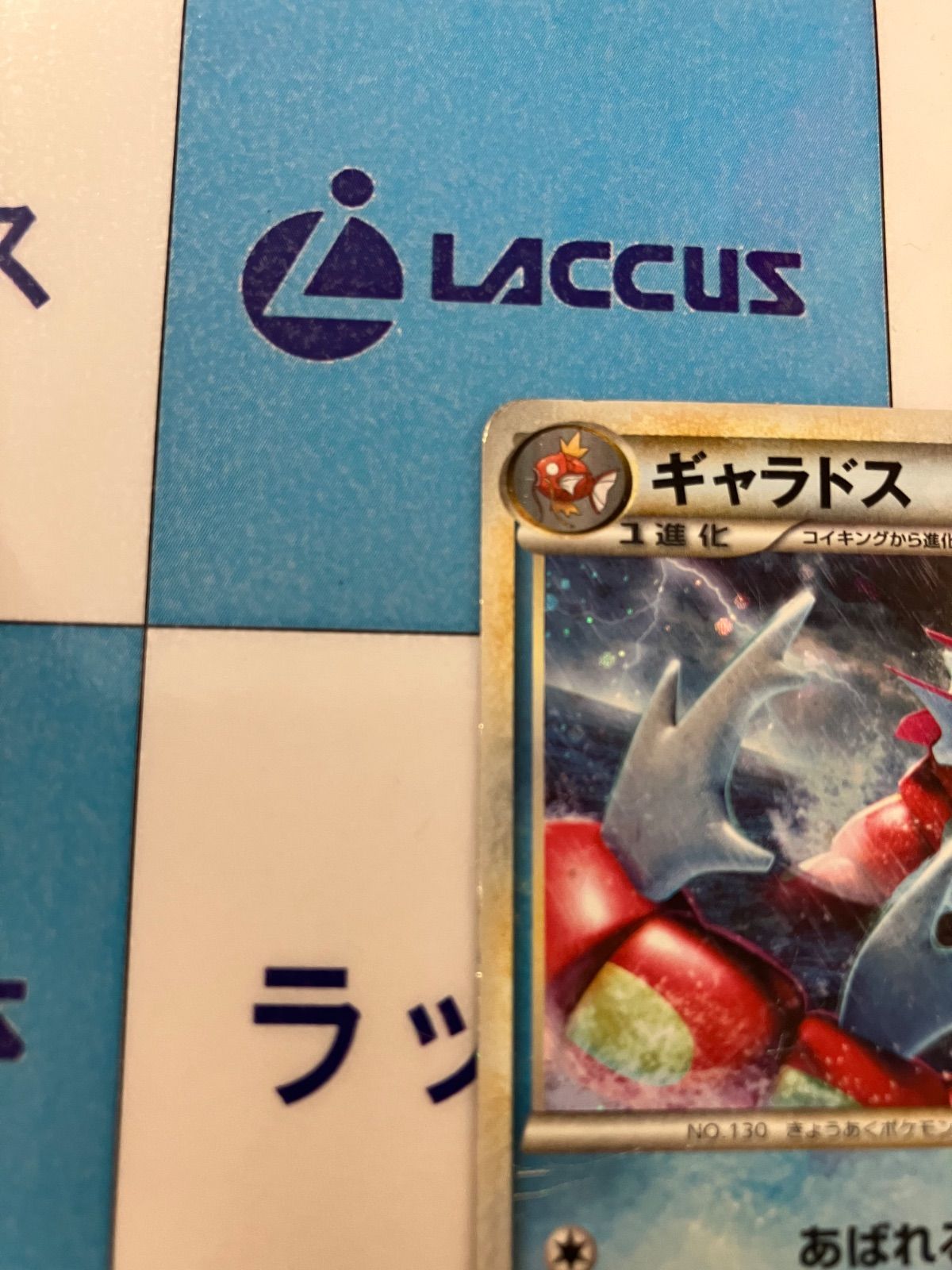 ポケモンカード/ポケカ ギャラドス ランダムベーシックパック