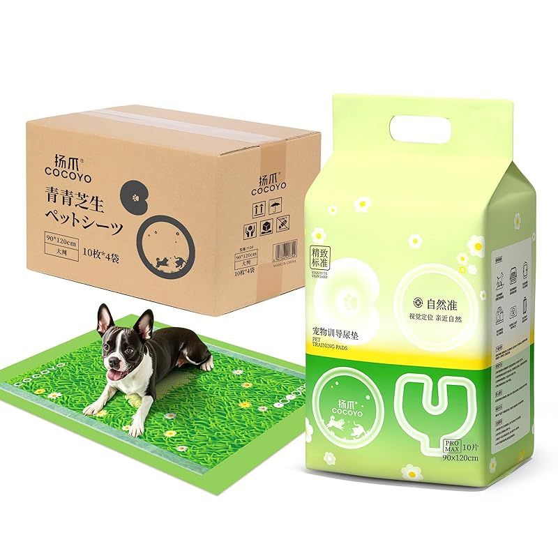 愛蔵版 茶箱と茶籠の図鑑99／堀内 明美