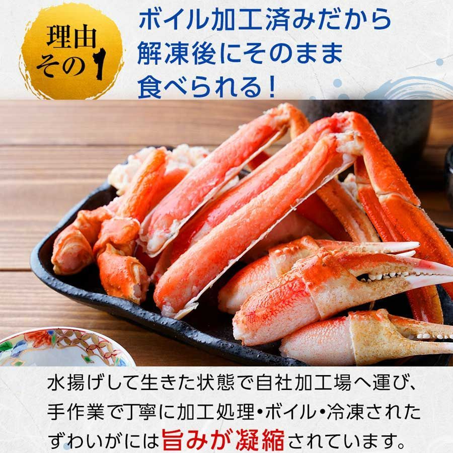 大き目 大サイズ