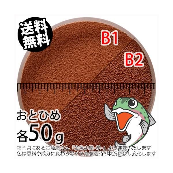 日清丸紅飼料　おとひめB1(0.2～0.36mm)2kg 未開封品 　メダカ　餌　倉出し　 110077