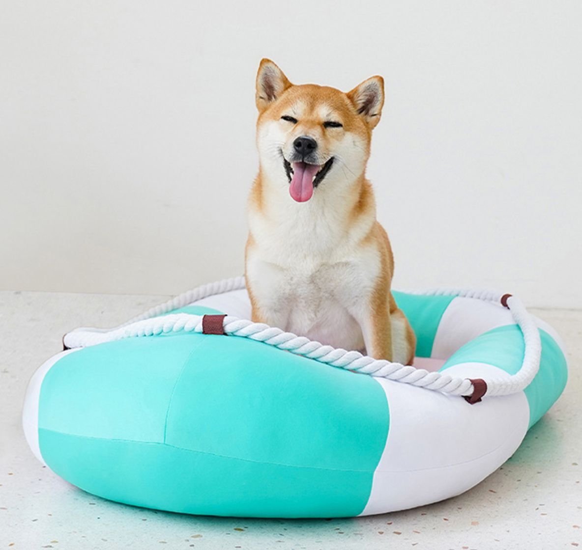 小型猫 中型猫