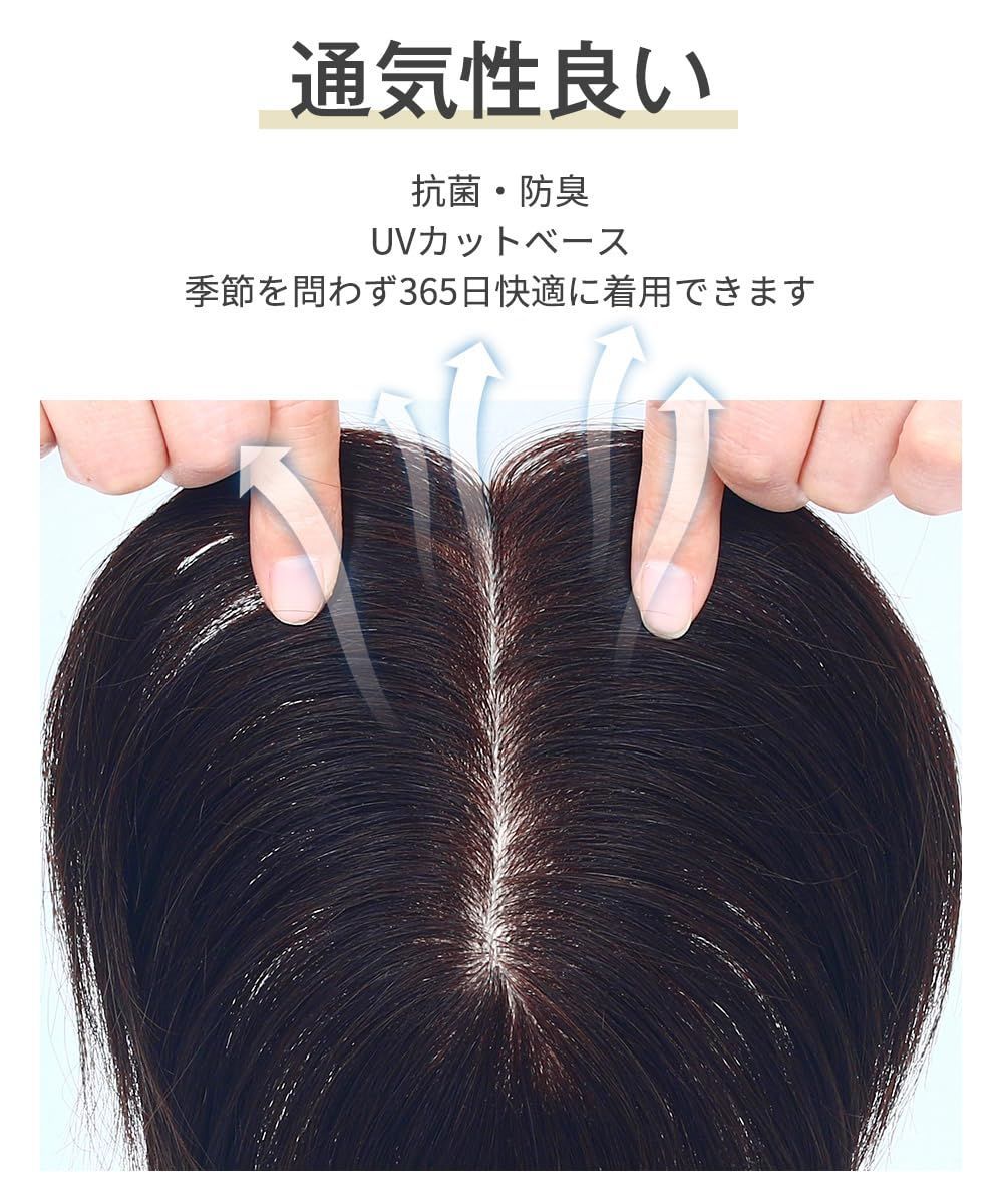 付け毛 部分ウィッグ