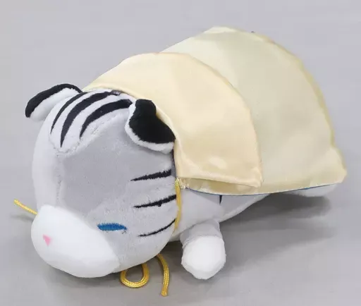 2025年最新】チリシィの人気アイテム - メルカリ