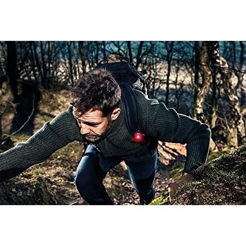 レッド ペット用