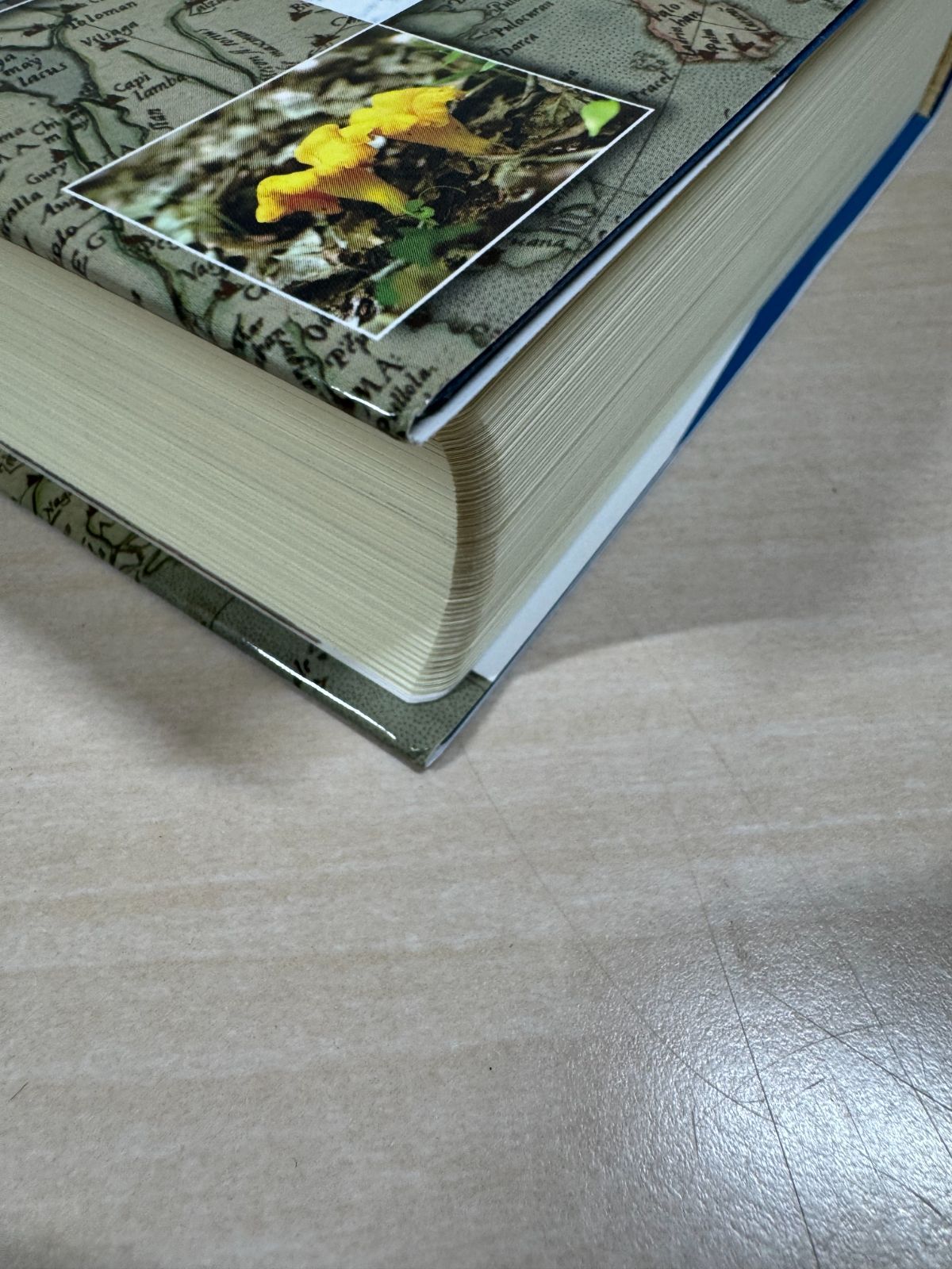 ロシア文化事典※カバー欠品 - メルカリ