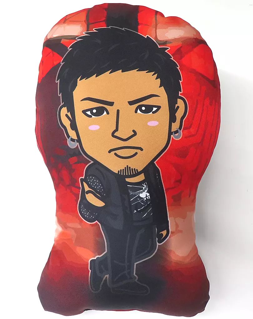 数原龍友 クッション HIGHER GROUND 中古】クッション・本体 数原龍友(GENERATIONS) クッション