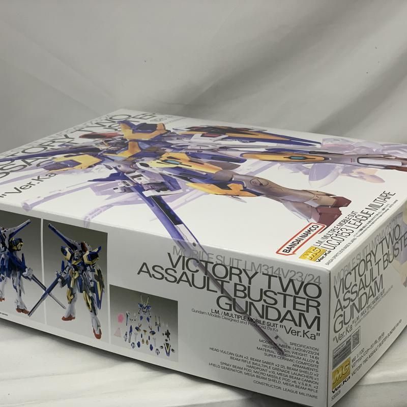 V2ｱｻﾙﾄﾊﾞｽﾀｰｶﾞﾝﾀﾞﾑ