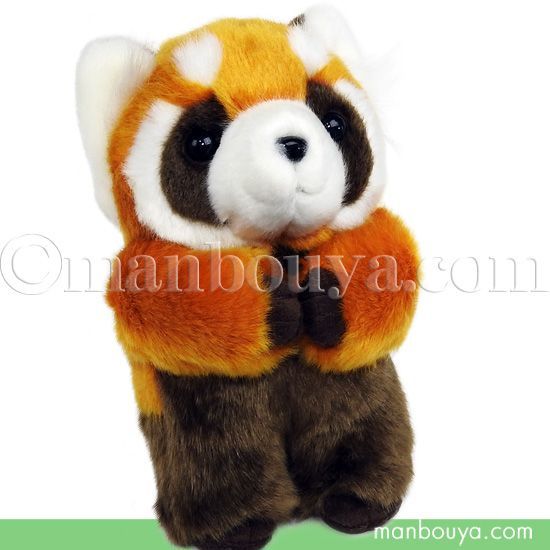 レッサーパンダぬいぐるみ レッサーパンダ ぬいぐるみ キュート販売 CUTE safari