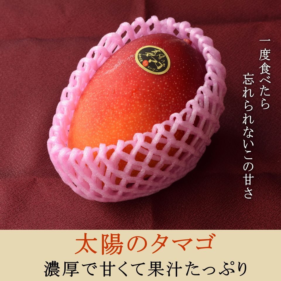 サプライズ
