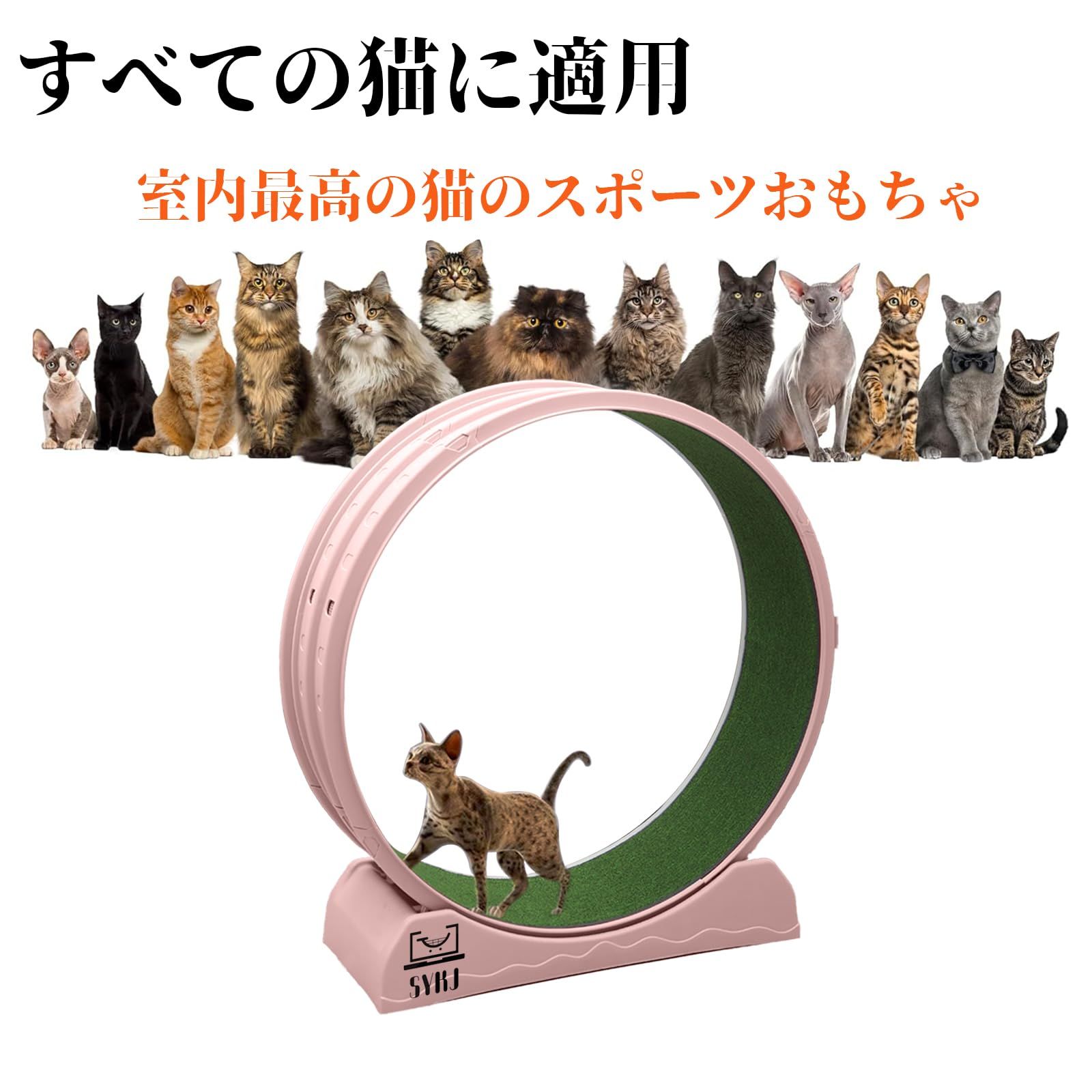 ☆数量限定☆】キャットホイール 猫 猫用 回し車 猫用トレッドミル 