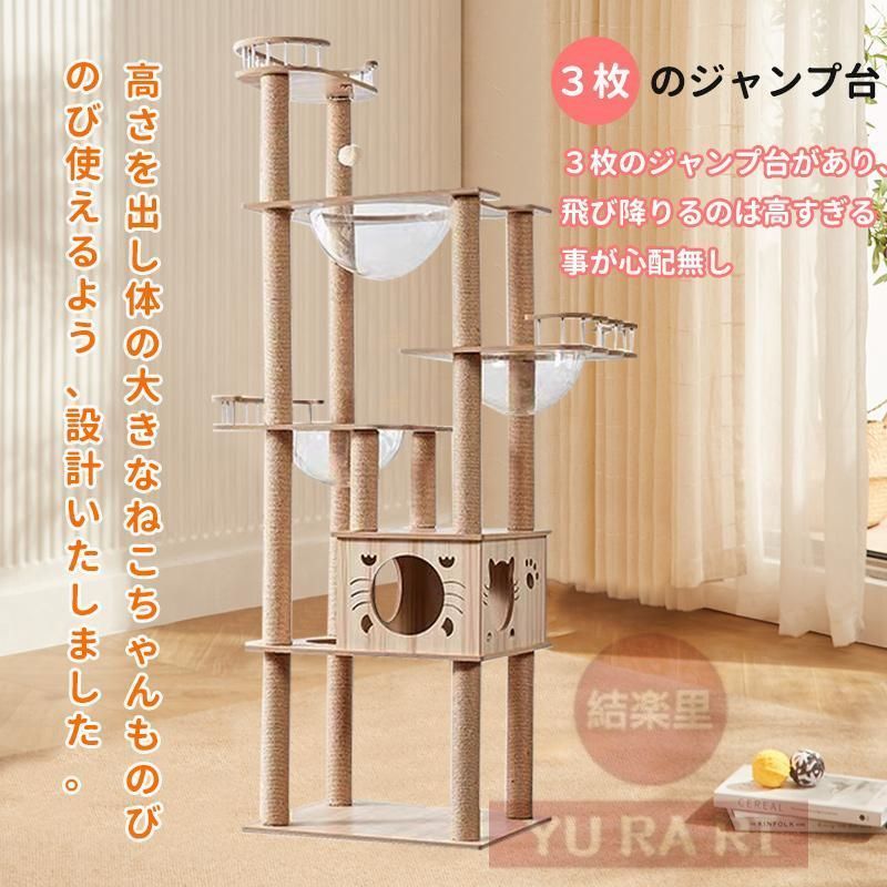 猫ハウス