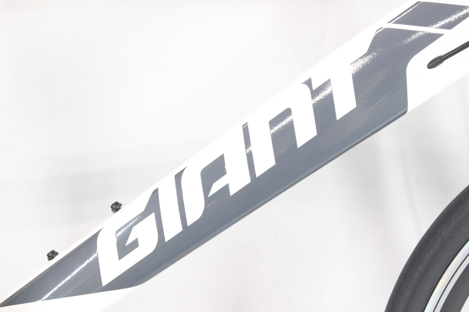 GIANT 「ジャイアント」 IDIOM2 2020年モデル 20インチ ミニベロ