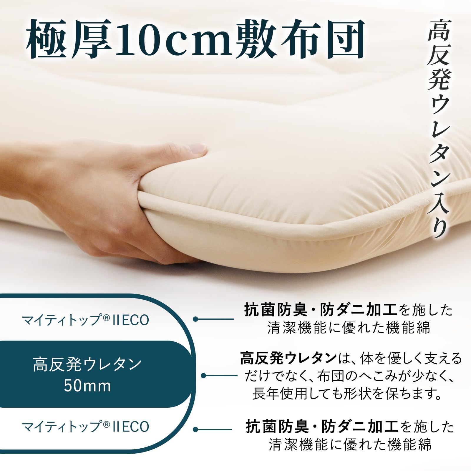 抗菌防臭 折り目なし