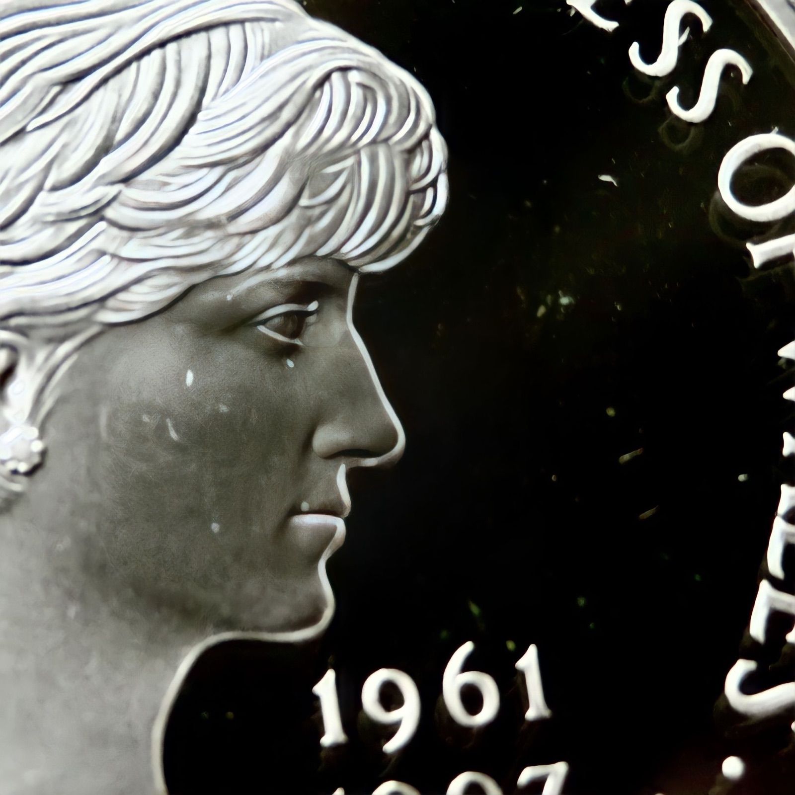 1999年 ダイアナ妃 NGC PR69 DCAM モダンコイン 銀貨 プルーフ 1999年 ダイアナ妃 NGC PR69 DCAM 5ポンド 銀貨 プルーフ - メルカリ