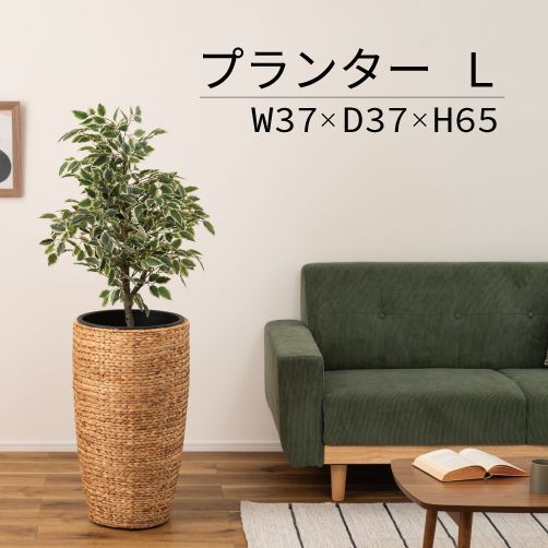 石井武夫、DUMMY、希少な額装用画集より、美品、新品額装付 公式