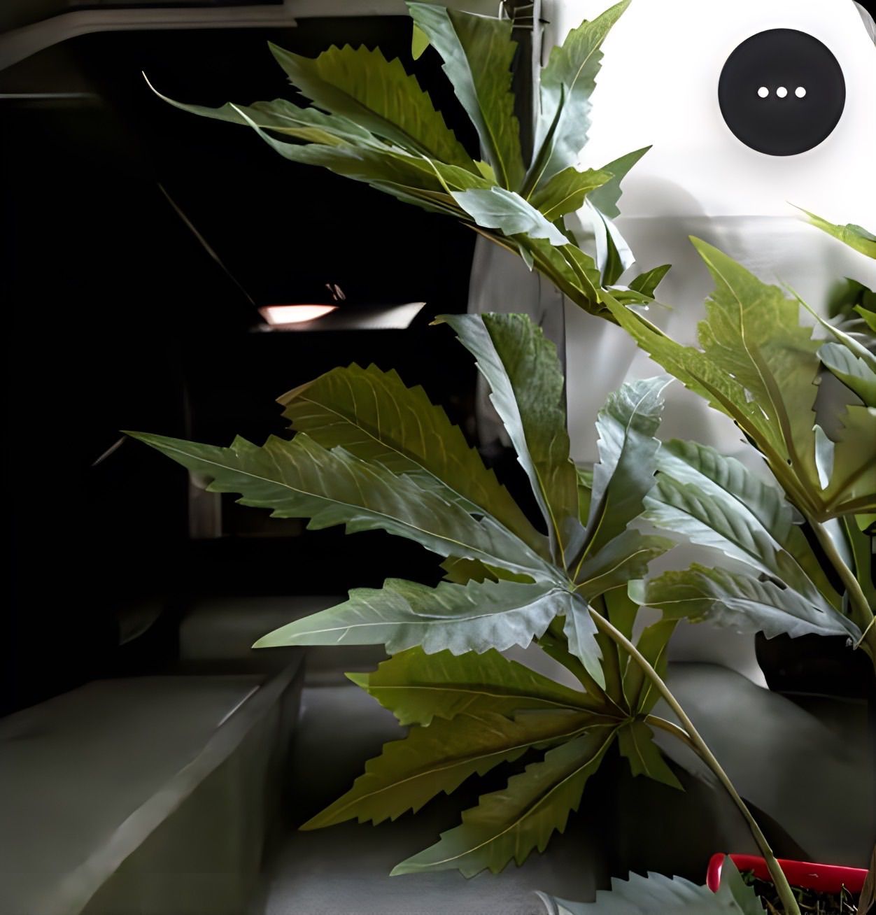 フェイクグリーン