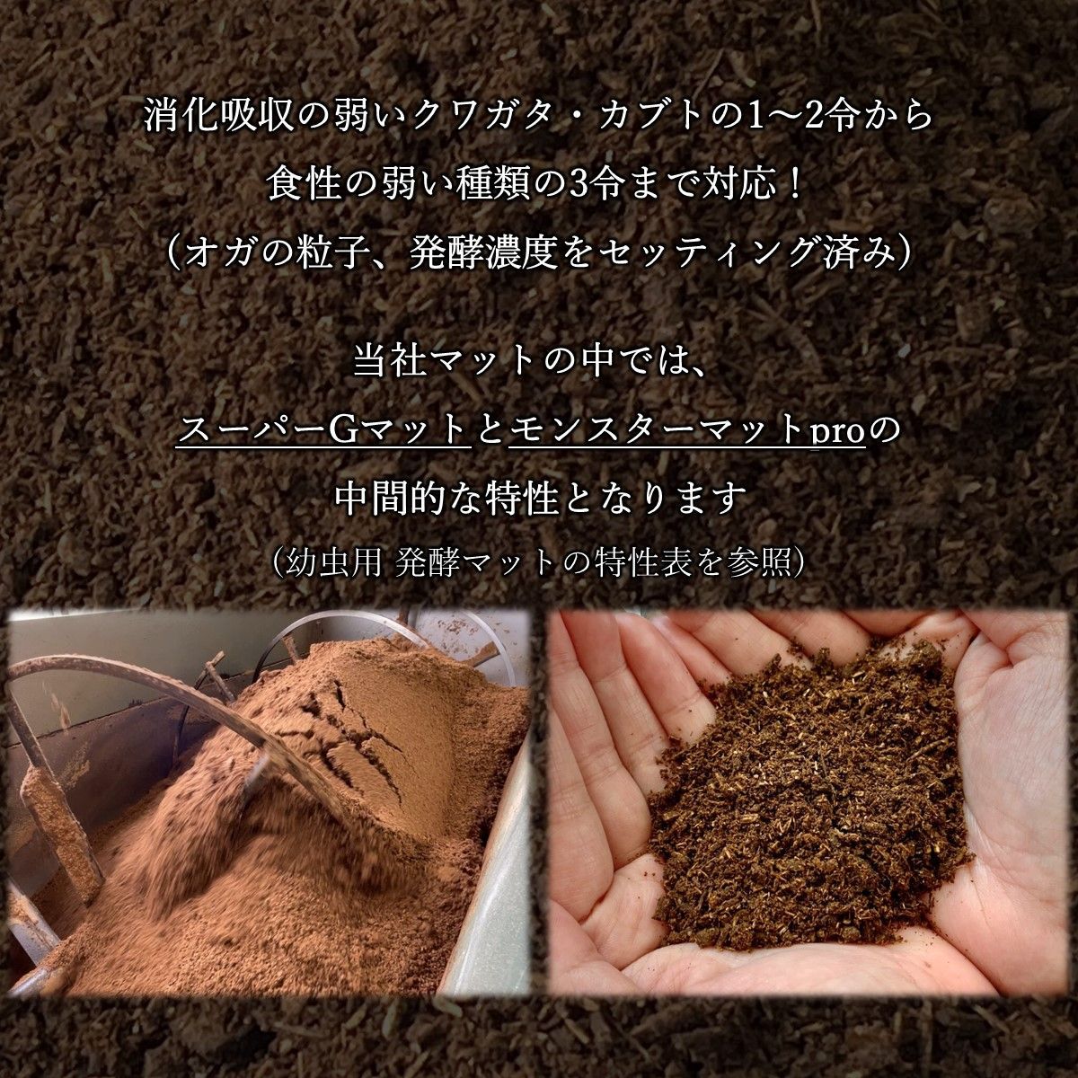 5点フルセット／ 産卵マニュアル付き！【DDA】クワガタ産卵Bセット