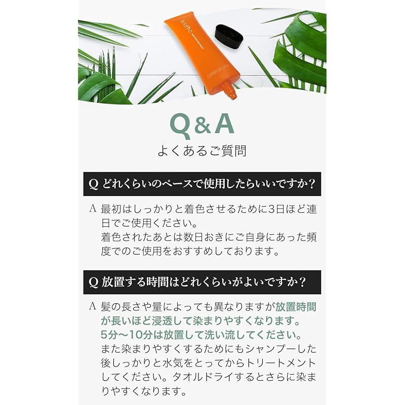 【オーガニック 白髪ケア】biseno ヘアカラートリートメント 150g×2 ビセノ ヘアカラートリートメント ナチュラルブラック 150g*２個