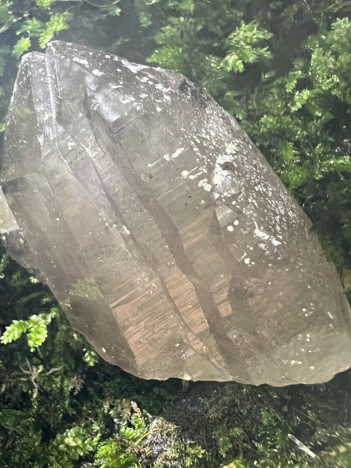 龍脈の精髄 ― 宮崎産煙水晶ツイン 「大地と縁を結ぶ祓いの力