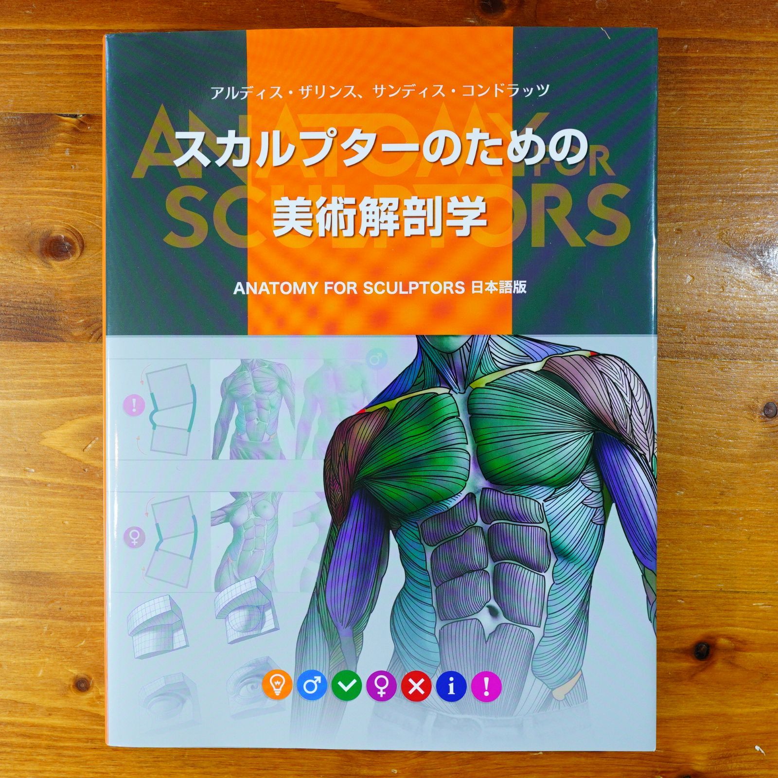 スカルプターのための美術解剖学 Amazon.co.jp: スカルプターのための美術解剖学: Anatomy For
