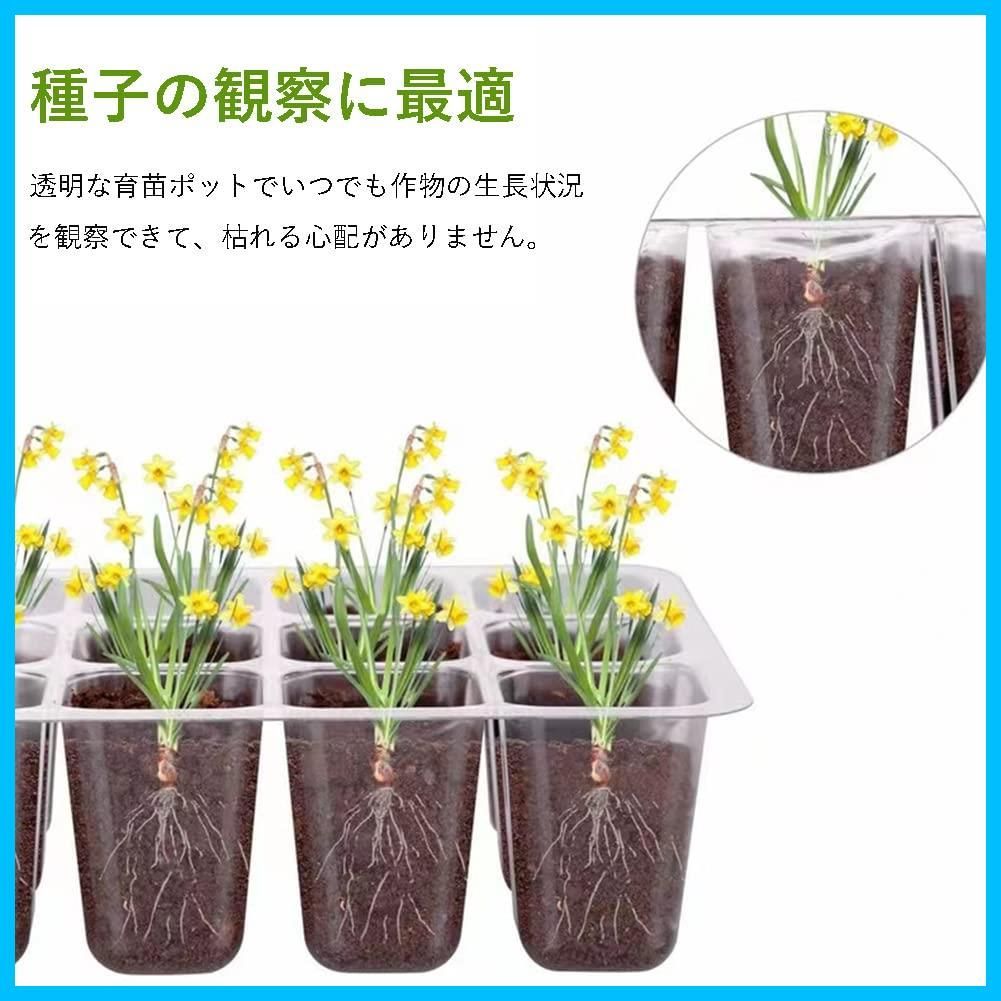 特価セール】育苗ポット植物育成ライト付き 3個セット 育苗トレイ 育苗