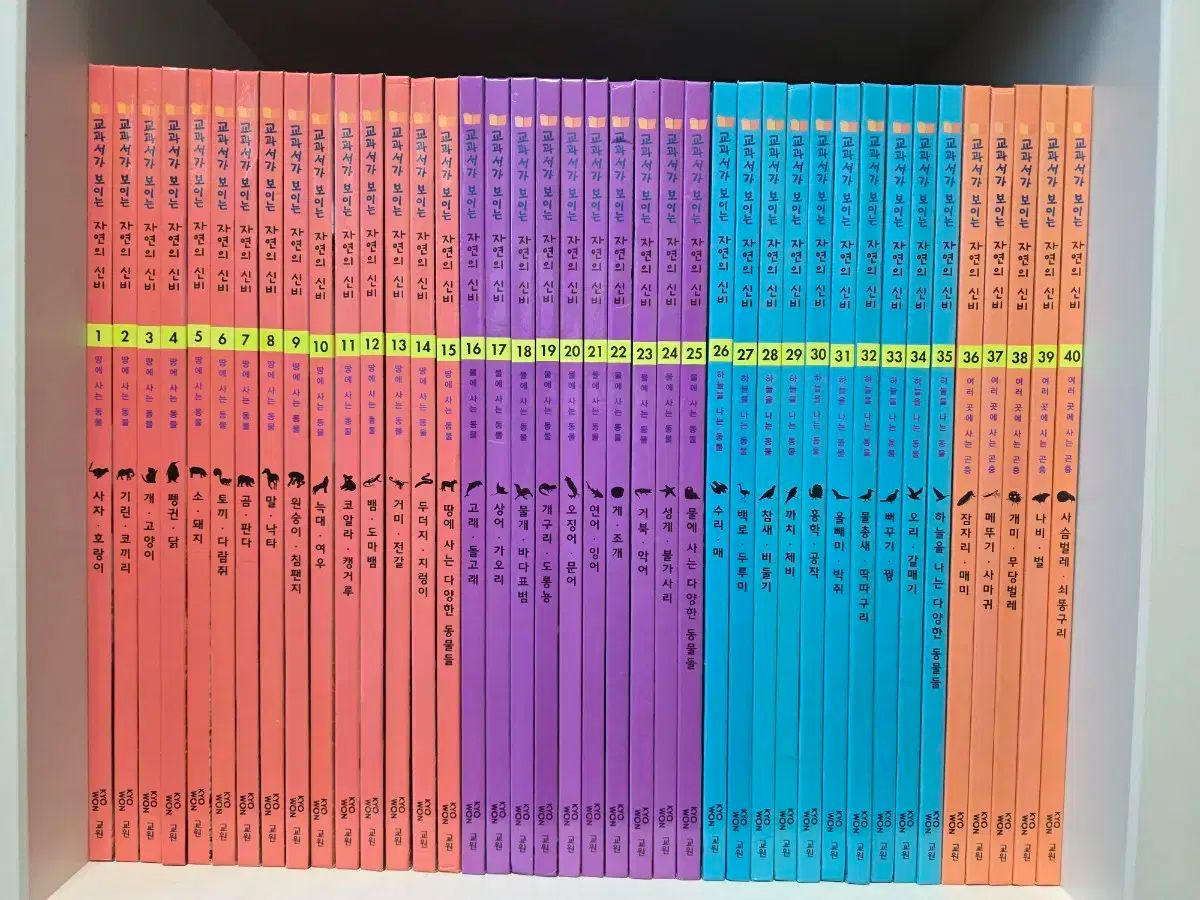 教科書 表示されています ナチュラル 歌う