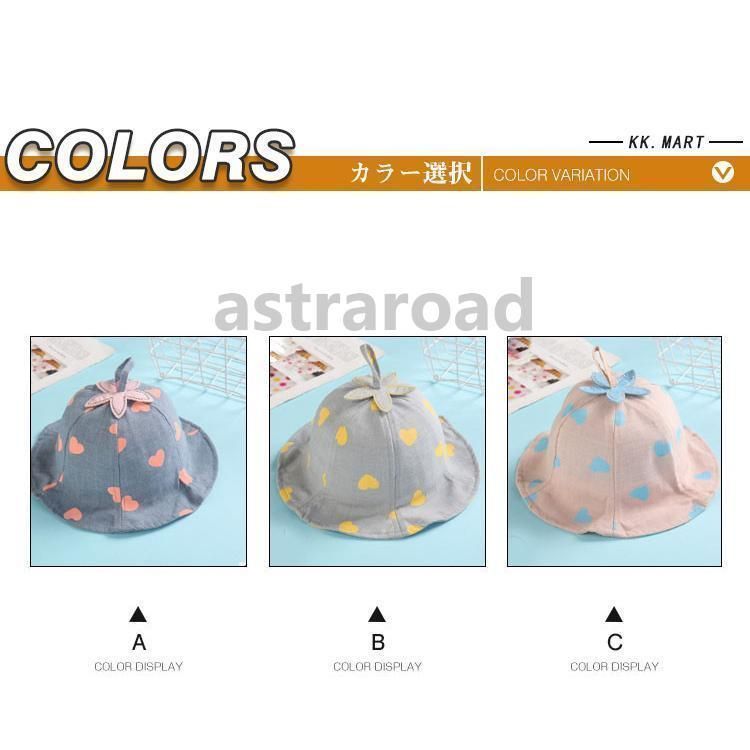 2月入荷 10粒+ パリー トランカータ 植物検疫証明書あり 種 種子