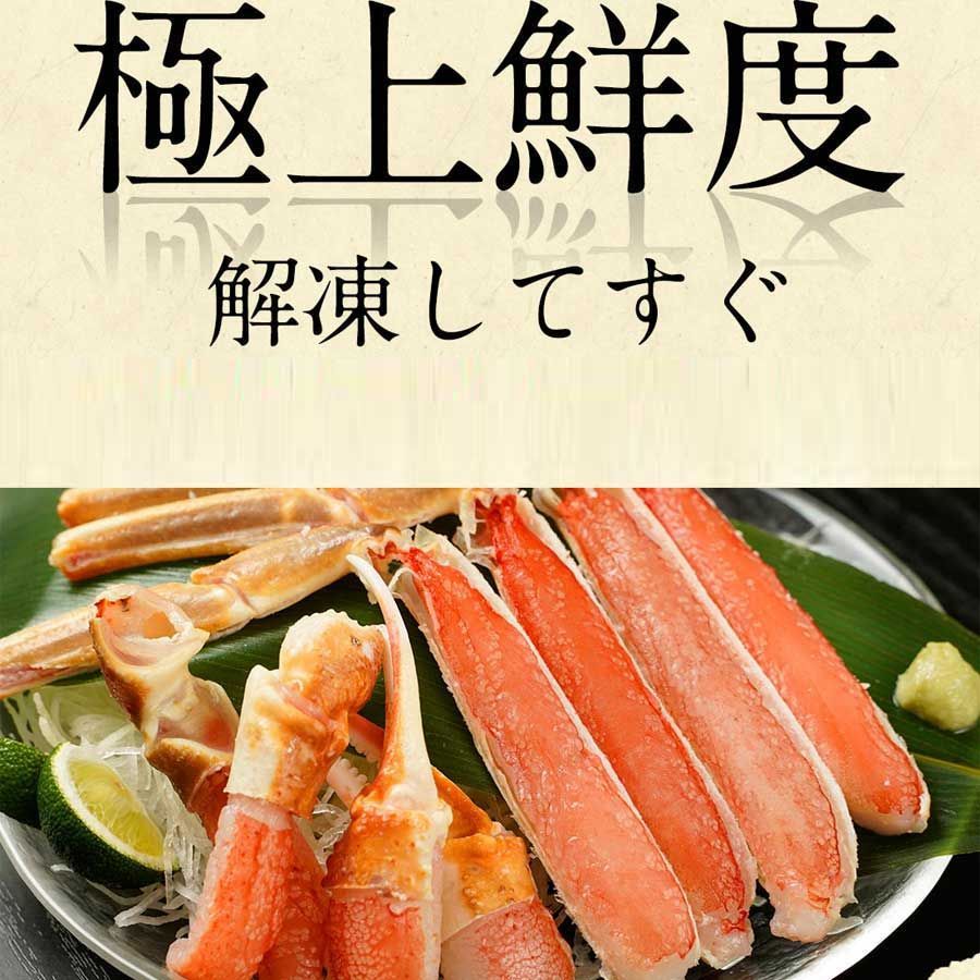 🦀生ずわいがに🦀 切りガニ 480g ハーフポーション カニ爪 カニ脚 肩肉 殻カット済 化粧箱入り