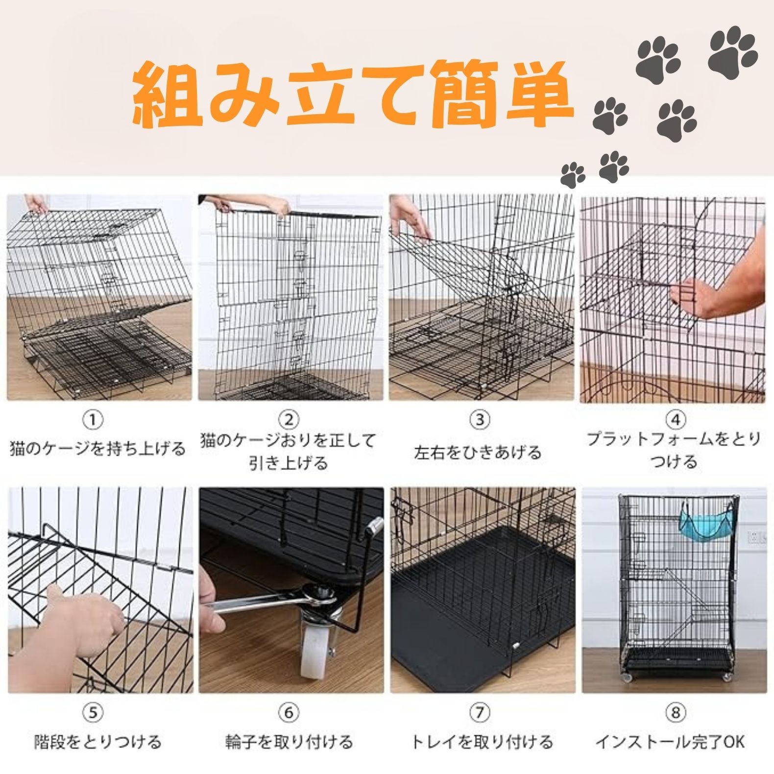 子猫 小動物