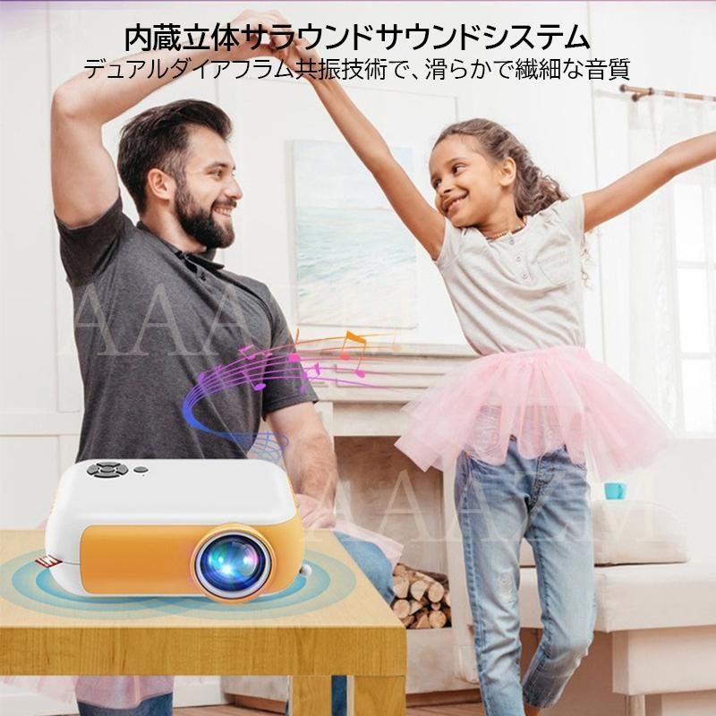 小型 家庭用