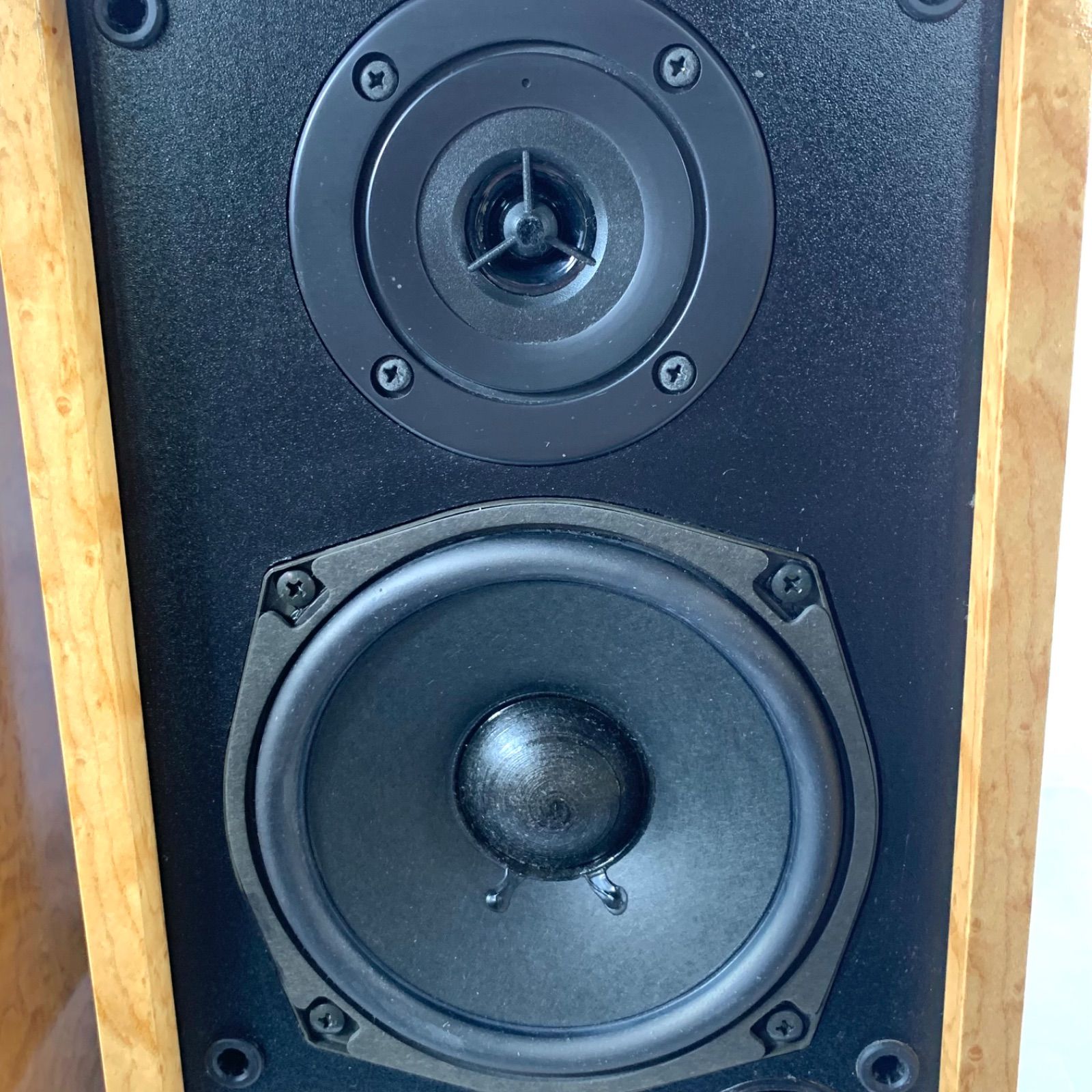 DIATONE DS-B1 スピーカー　ダイアトーン 50周年記念モデル DIATONE【DS-B1】ダイアトーン スピーカーシステム ペア ダイヤ